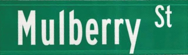 Mulberry Street Gang